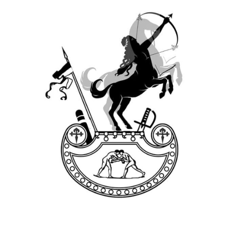 You are currently viewing O idei bloga i symbolice loga HIPODROM & PALESTRA